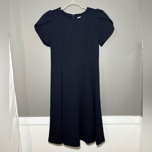 Calvin Klein Midnight Blue Dress